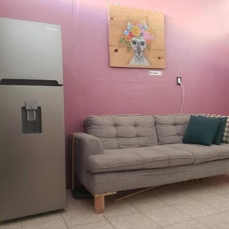 Apartament Om Studio Oaxaca Zewnętrze zdjęcie