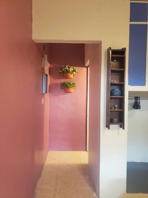 Apartament Om Studio Oaxaca Zewnętrze zdjęcie